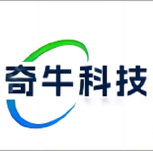 計(jì)算機(jī)系統(tǒng)服務(wù);信息技術(shù)咨詢服務(wù);人工智能應(yīng)用軟件開(kāi)發(fā);技術(shù)服務(wù)